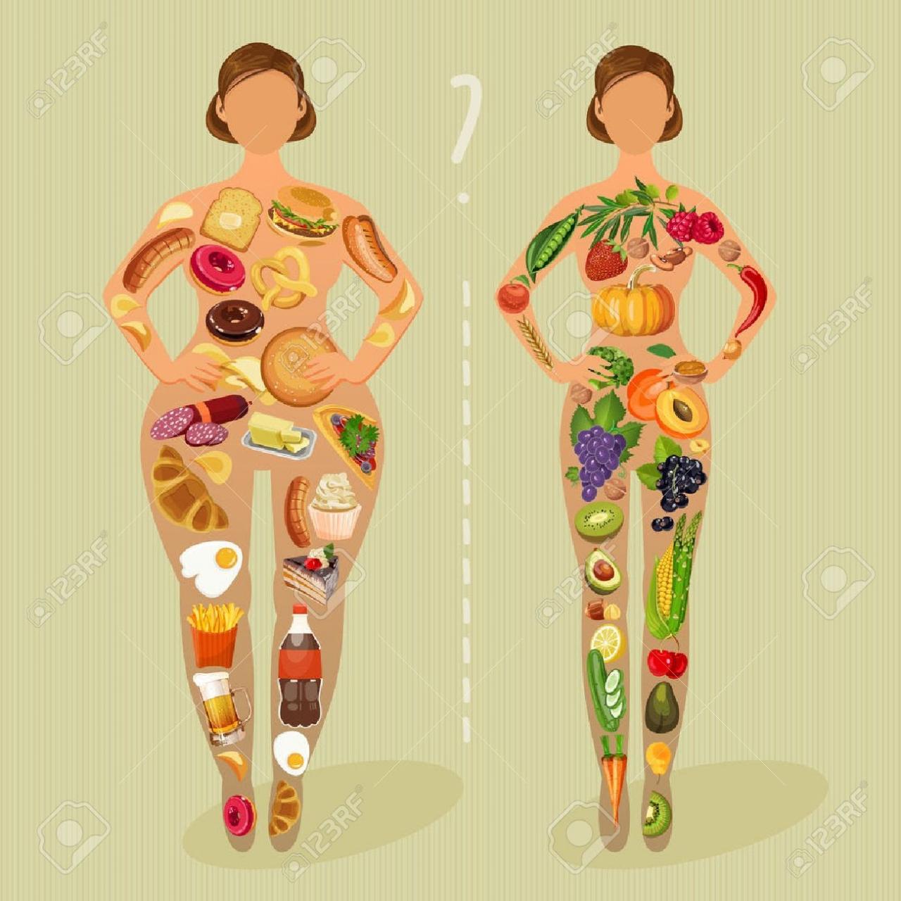 健康的なライフ スタイル、健康的な食事の日常。ダイエット。女の子の選択: 脂肪や薄型をされています。健康的な生活習慣、悪い習慣。のイラスト素材・ベクタ  - Image 52084820.