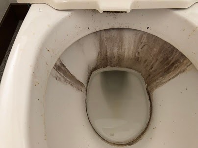 トイレの黄ばみと黒ずみがキレイに落ちてスッキリ！来客前の掃除が、ラクに済みました。 | 千葉県の家事代行、家政婦なら千葉の家事代行サービス